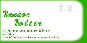 nandor molter business card